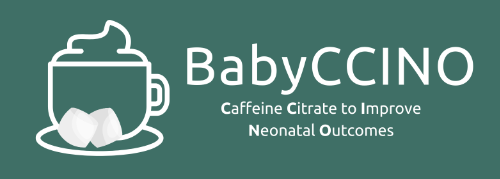 BabyCCINO rectangle