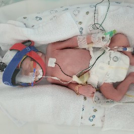 Alexandria Bulloch-Spackman