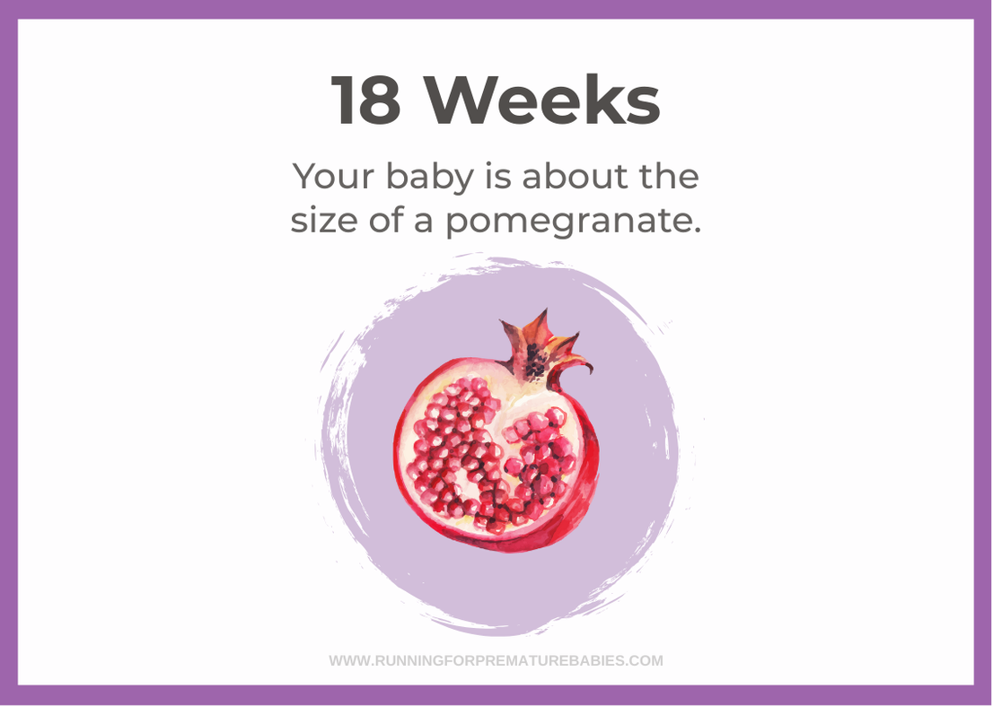 18 Weeks Pregnant 18 Weeks Pregnant