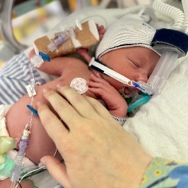 Annabelle FitzGerald